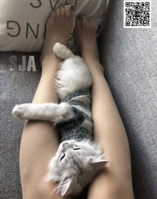 一级性爱视频_1080P在线播放观看