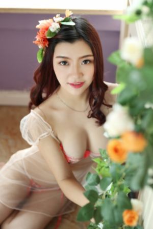 血战丛林免费观看完整版高清_高清全集免费播放